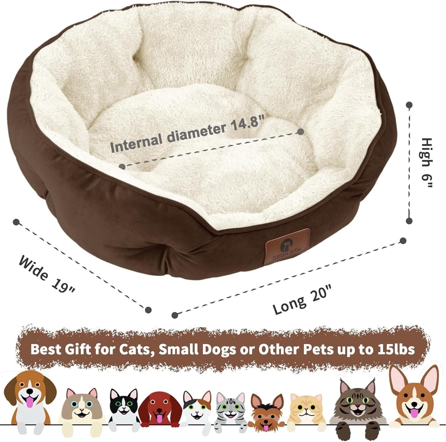 The Cozy Canine Cloud: Where Tiny Paws and Feline Royalty Snuggle, Snooze, and Spill in Style!