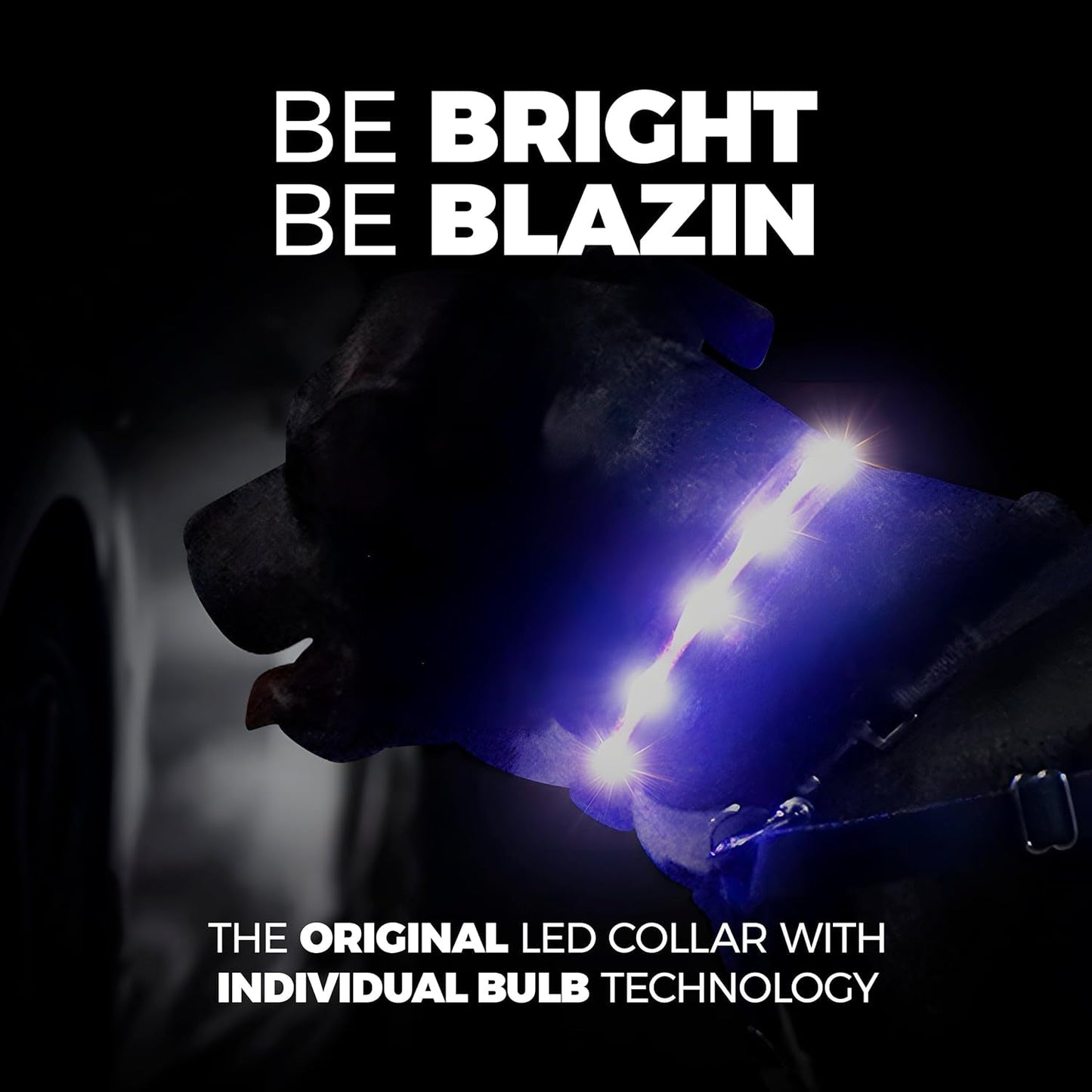 Glow-in-the-Dark Doggy Disco Collars - Because Your Pup Deserves to Shine Brighter Than Your Ex’s Future!