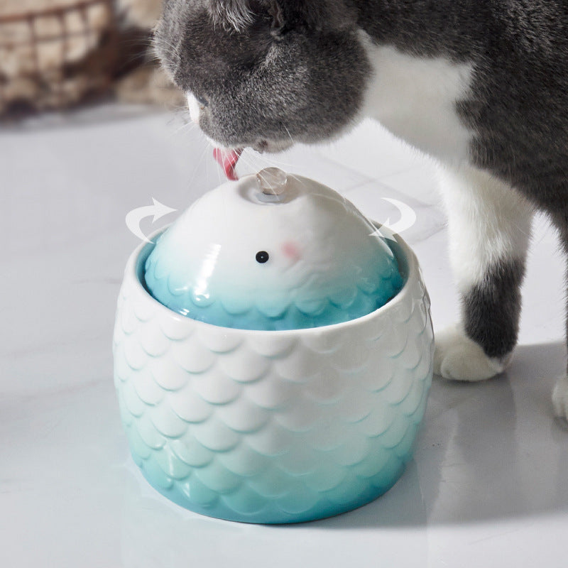 Koi Fish Water Dispenser for Pets