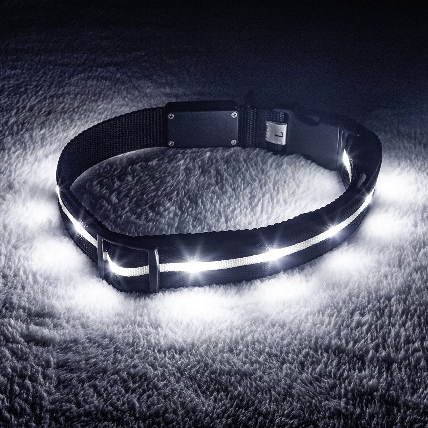 Glow-in-the-Dark Doggy Disco Collars - Because Your Pup Deserves to Shine Brighter Than Your Ex’s Future!