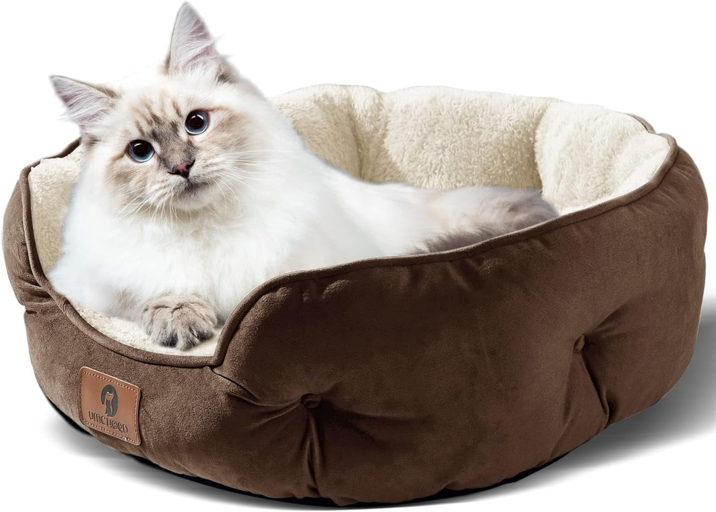The Cozy Canine Cloud: Where Tiny Paws and Feline Royalty Snuggle, Snooze, and Spill in Style!
