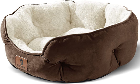 The Cozy Canine Cloud: Where Tiny Paws and Feline Royalty Snuggle, Snooze, and Spill in Style!