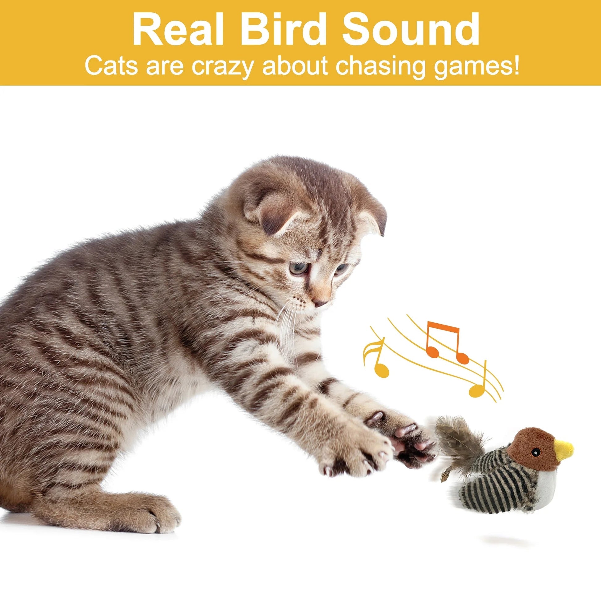 Feathered Feline Frenzy: The Chirpy Bird Toy That Turns Your Kitty into a Solo Superstar!