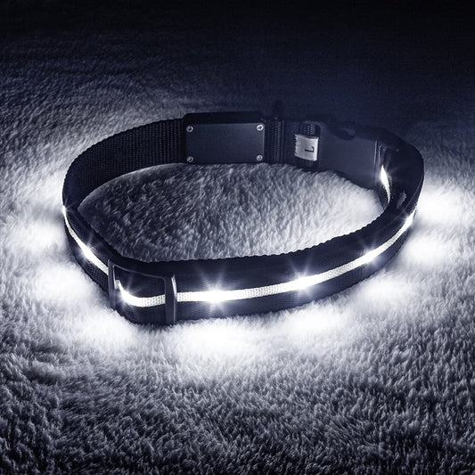 Glow-in-the-Dark Doggy Disco Collars - Because Your Pup Deserves to Shine Brighter Than Your Ex’s Future!