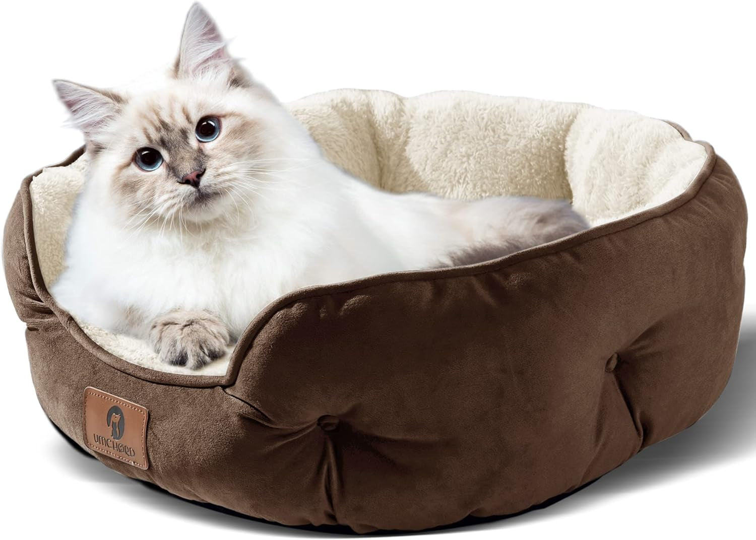The Cozy Canine Cloud: Where Tiny Paws and Feline Royalty Snuggle, Snooze, and Spill in Style!